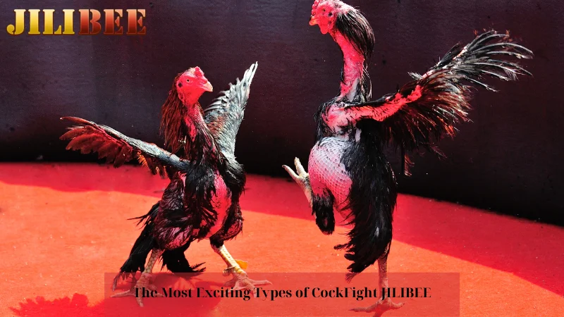 s888 org log in learning how to sports bet